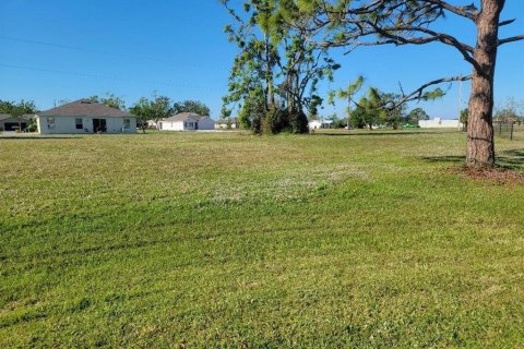 Terrain à vendre à Punta Gorda, Floride № 1359441 - photo 3