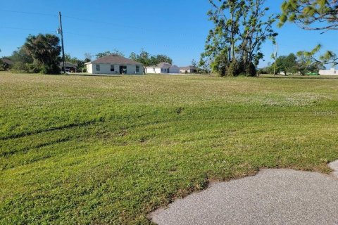 Land in Punta Gorda, Florida № 1359441 - photo 1