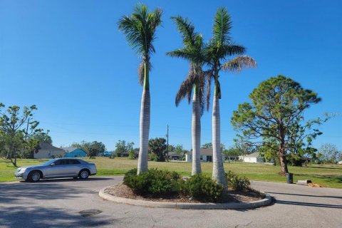 Land in Punta Gorda, Florida № 1359441 - photo 2