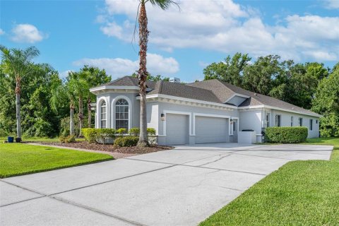 Villa ou maison à vendre à Wesley Chapel, Floride: 4 chambres, 320.88 m2 № 1252055 - photo 2