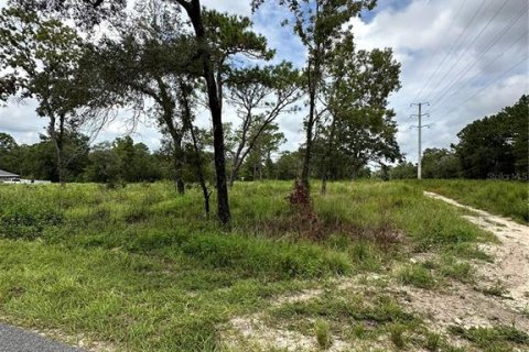 Land in Brooksville, Florida № 1359582 - photo 8