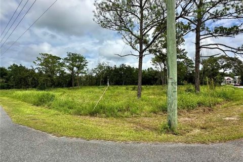 Terreno en venta en Brooksville, Florida № 1359582 - foto 5