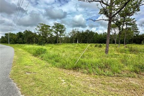 Terreno en venta en Brooksville, Florida № 1359582 - foto 1