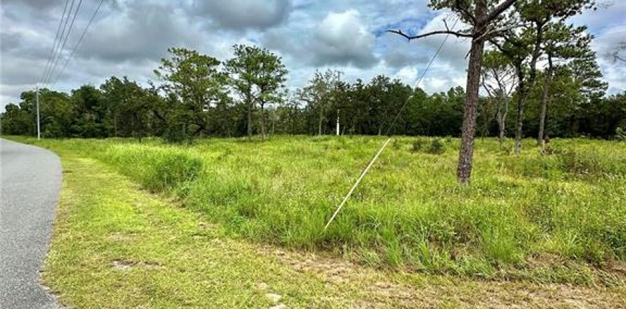 Terrain à Brooksville, Floride № 1359582