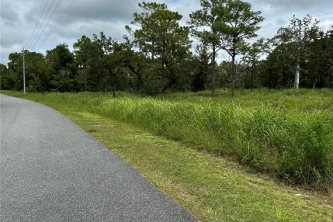 Land in Brooksville, Florida № 1359582 - photo 7