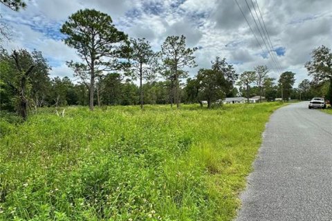 Terreno en venta en Brooksville, Florida № 1359582 - foto 6