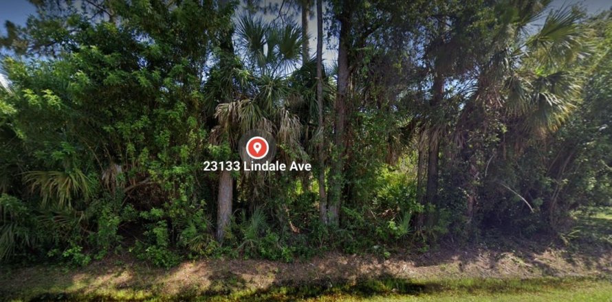 Land in Port Charlotte, Florida № 1104509