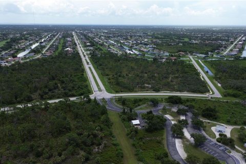 Terreno en venta en Rotonda, Florida № 1295362 - foto 11