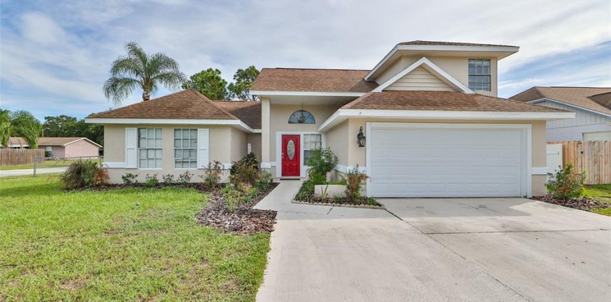 House in New Port Richey, Florida 5 bedrooms, 228.91 sq.m. № 1256046