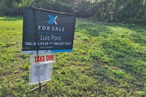 Terrain à vendre à Homestead, Floride № 990965 - photo 1