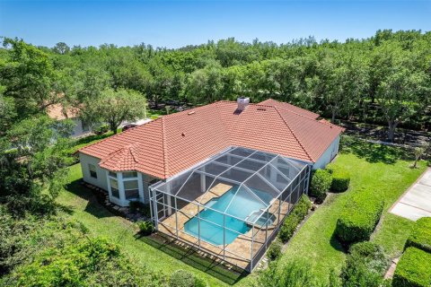 Villa ou maison à vendre à Tampa, Floride: 5 chambres, 340.02 m2 № 1113617 - photo 7
