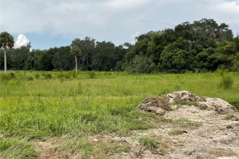 Terreno en venta en Citra, Florida № 1314925 - foto 3