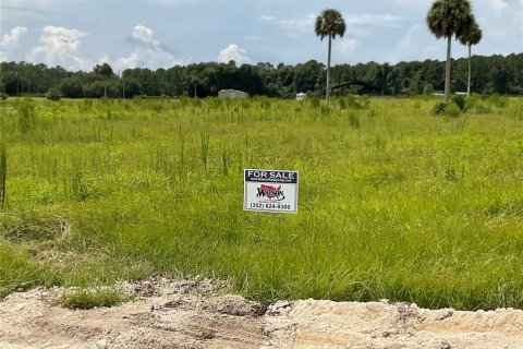 Terreno en venta en Citra, Florida № 1314925 - foto 1