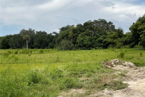 Terreno en venta en Citra, Florida № 1314925 - foto 8