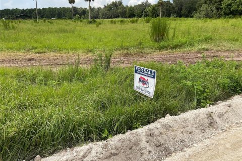 Terreno en venta en Citra, Florida № 1314925 - foto 9