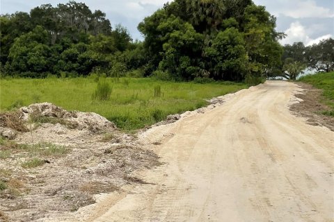 Terreno en venta en Citra, Florida № 1314925 - foto 6