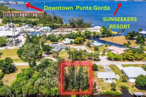 Land in Punta Gorda, Florida № 1150143 - photo 2