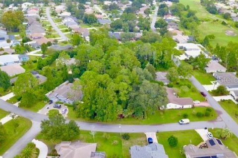 Terreno en venta en Palm Coast, Florida № 1378179 - foto 6