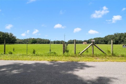 Terreno en venta en Bushnell, Florida № 1297698 - foto 1