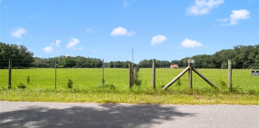 Terrain à Bushnell, Floride № 1297698