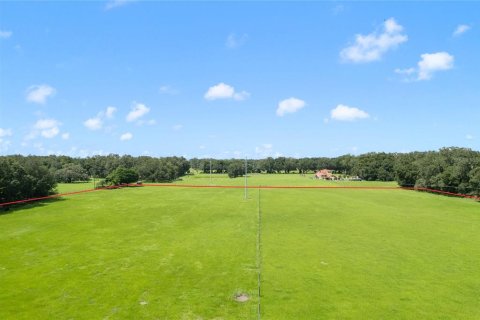 Terreno en venta en Bushnell, Florida № 1297698 - foto 3