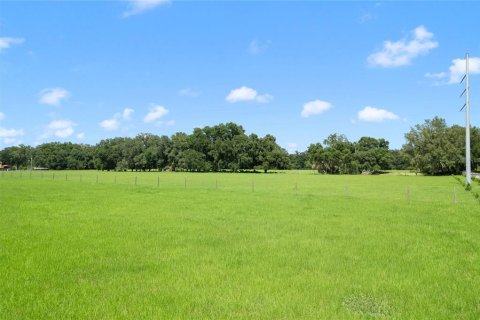 Terrain à vendre à Bushnell, Floride № 1297698 - photo 19