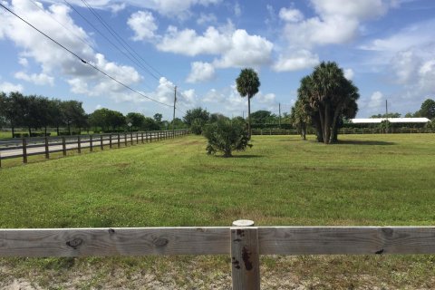 Купить земельный участок в Веллингтон, Флорида № 924506 - фото 7