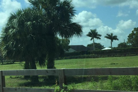 Купить земельный участок в Веллингтон, Флорида № 924506 - фото 4