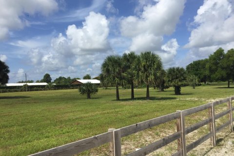 Купить земельный участок в Веллингтон, Флорида № 924506 - фото 6