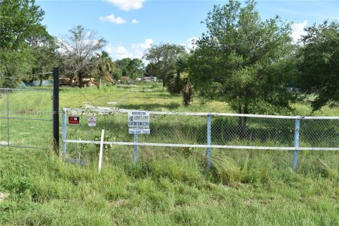 Land in Clewiston, Florida № 1309521 - photo 9