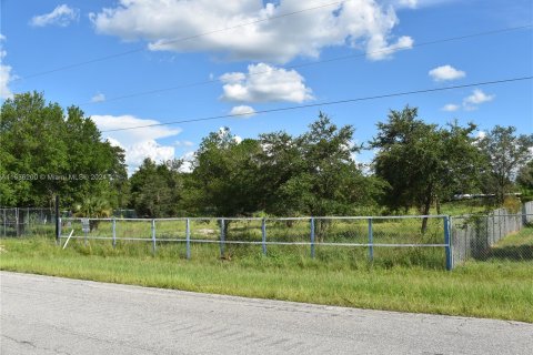 Terreno en venta en Clewiston, Florida № 1309521 - foto 3