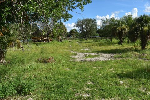 Terreno en venta en Clewiston, Florida № 1309521 - foto 6