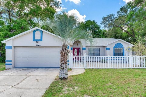 Villa ou maison à vendre à Spring Hill, Floride: 3 chambres, 133.04 m2 № 1349500 - photo 1