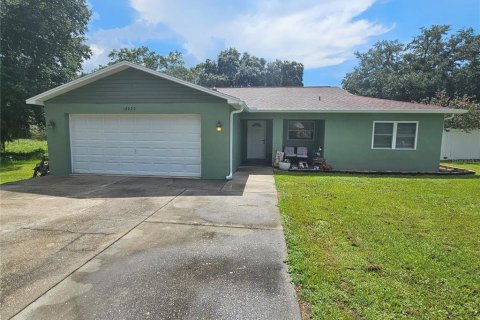 Villa ou maison à vendre à San Antonio, Floride: 4 chambres, 152.36 m2 № 1274515 - photo 1