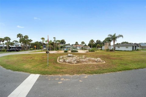 Terreno en venta en Crystal River, Florida № 1358218 - foto 17