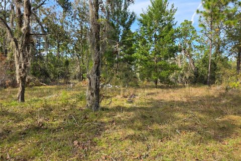 Terreno en venta en Williston, Florida № 1433809 - foto 6