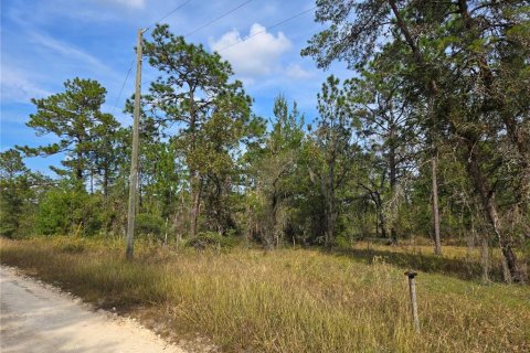 Terreno en venta en Williston, Florida № 1433809 - foto 9