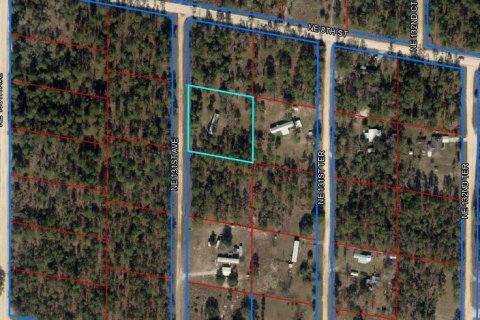 Terreno en venta en Williston, Florida № 1433809 - foto 10