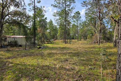 Terreno en venta en Williston, Florida № 1433809 - foto 8