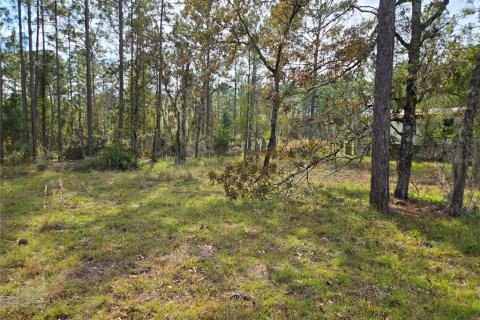 Terreno en venta en Williston, Florida № 1433809 - foto 4