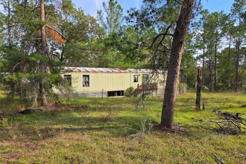 Terreno en venta en Williston, Florida № 1433809 - foto 2