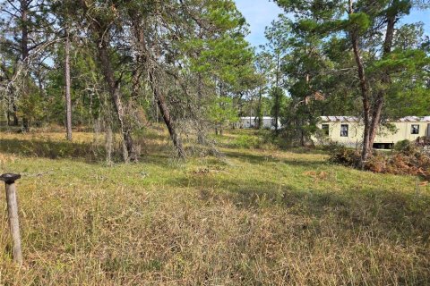 Terreno en venta en Williston, Florida № 1433809 - foto 1