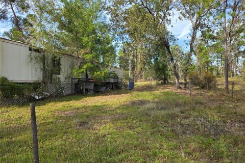 Terreno en venta en Williston, Florida № 1433809 - foto 3