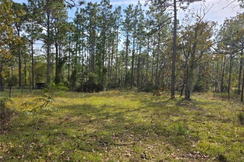 Terreno en venta en Williston, Florida № 1433809 - foto 5