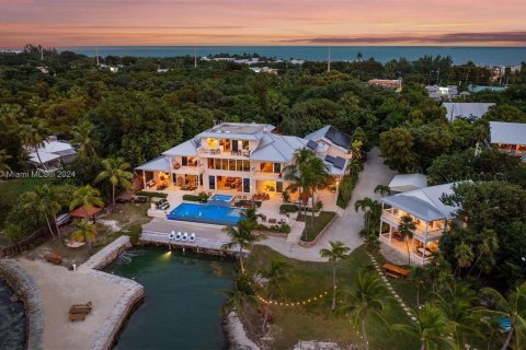 Villa ou maison à vendre à Islamorada, Village of Islands, Floride: 7 chambres № 956291 - photo 8