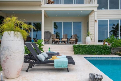 Villa ou maison à vendre à Islamorada, Village of Islands, Floride: 7 chambres № 956291 - photo 20