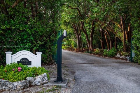 Villa ou maison à vendre à Islamorada, Village of Islands, Floride: 7 chambres № 956291 - photo 5