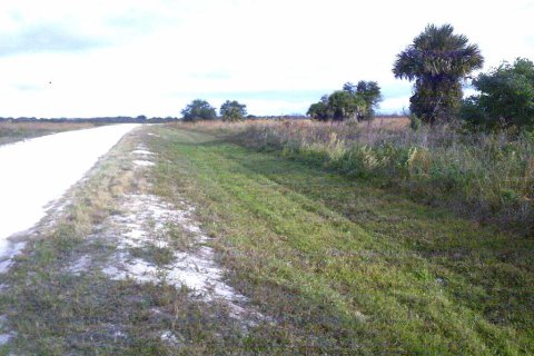 Terreno en venta en Okeechobee, Florida № 884769 - foto 8