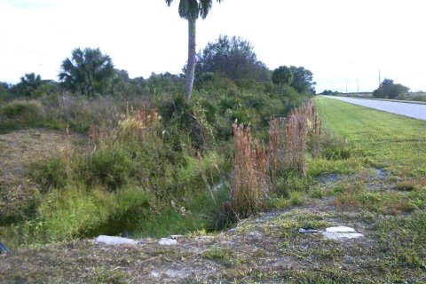 Terrain à vendre à Okeechobee, Floride № 884769 - photo 2