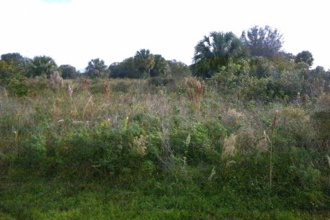 Land in Okeechobee, Florida № 884769 - photo 1